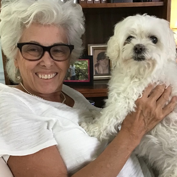 Posh Ambassador. - Picture 11 of 12